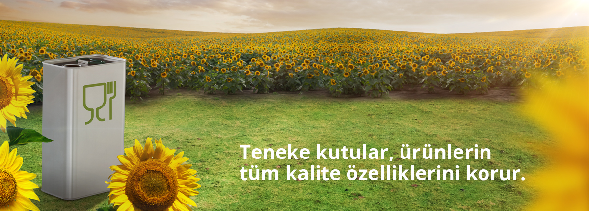 Türkçe_1200-px-Aycicegi-v01.jpg